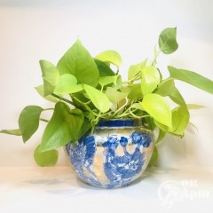Вазон-кашпо «Синие цветы»